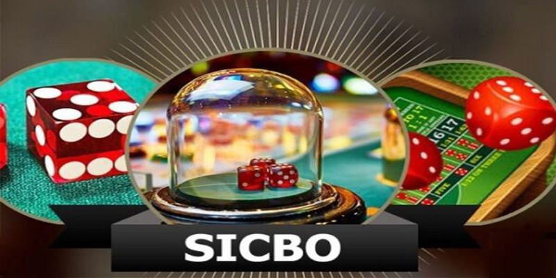 Kinh nghiệm chơi Sicbo giúp người mới thắng liên tục